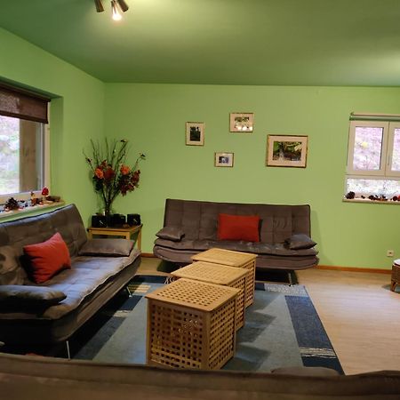 Ferienhaus Route 5 Elmstein Bagian luar foto